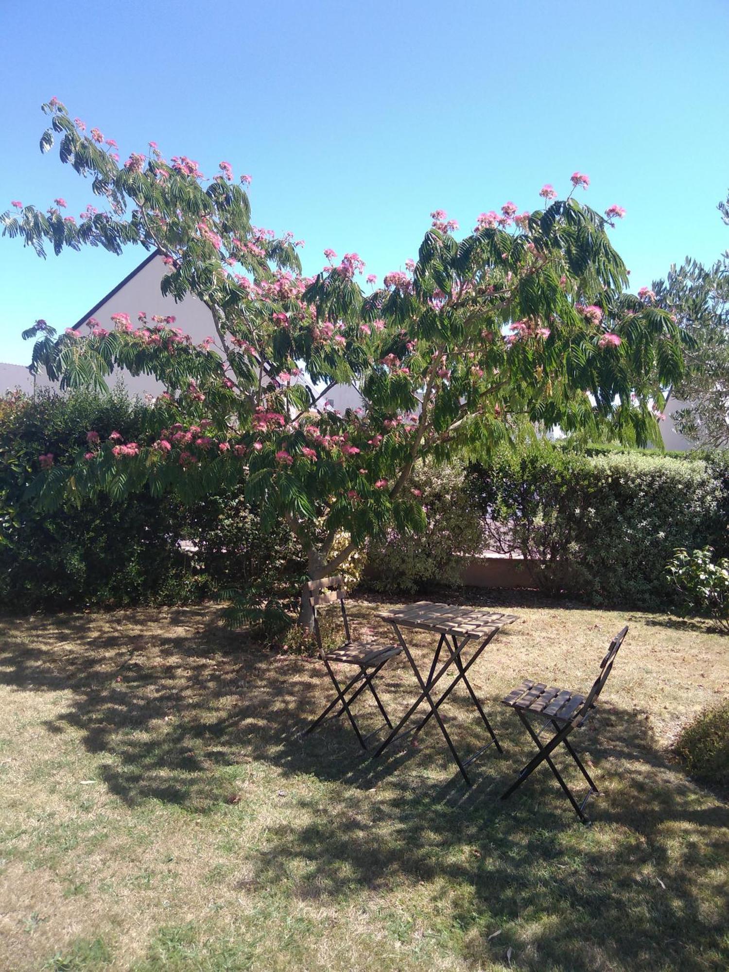 Chambre Agreable Au Calme Saint-Hilaire-Petitville Kültér fotó